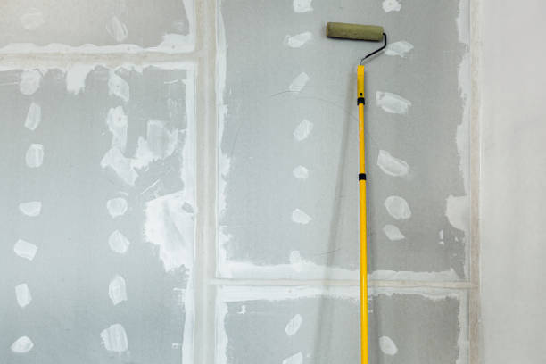 Best Water-Damaged Drywall Repair  in Bayou Gauche, LA