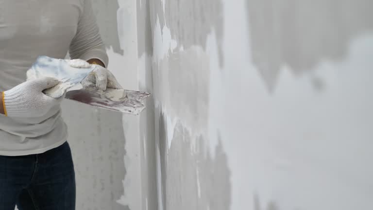 Professional Dry wall and painting in Bayou Gauche, LA